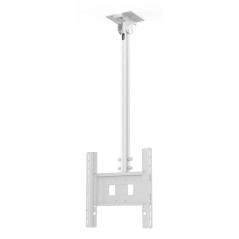 SMS Func Ceiling LP Medium Single - loftarmatur